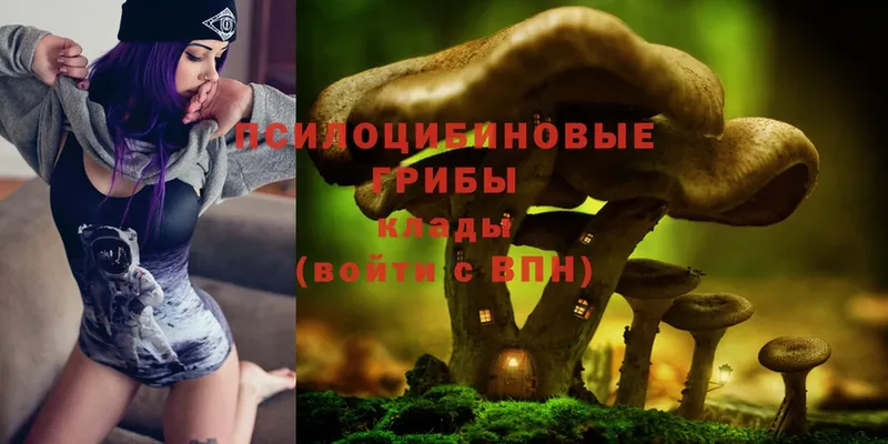 Галлюциногенные грибы Psilocybine cubensis  Демидов 